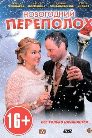 Новогодний переполох