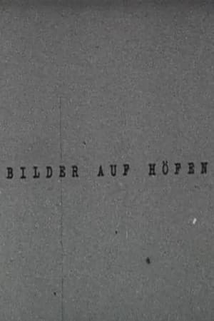 Bilder auf Höfen