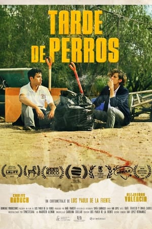 Tarde de Perros