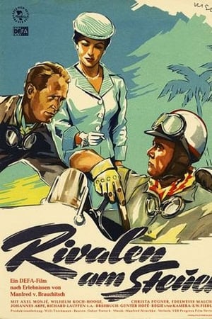 Rivalen am Steuer