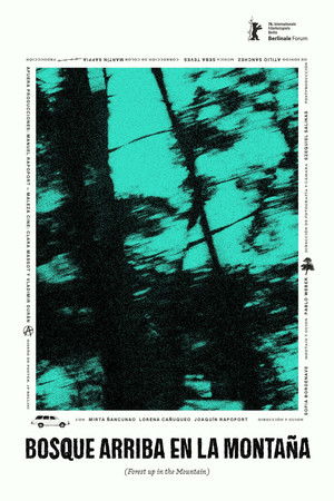 Bosque arriba en la montaña
