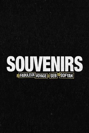 Souvenirs : Le fabuleux voyage de Seb et Sofyan