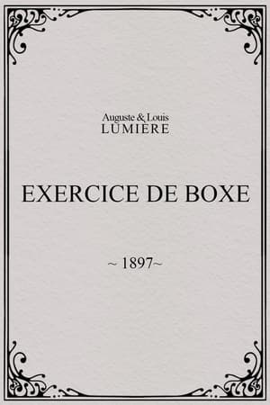 Exercice de boxe