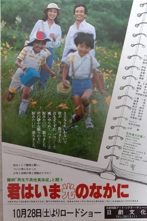 難病「再生不良貧血性」と闘う　君はいま光のなかに