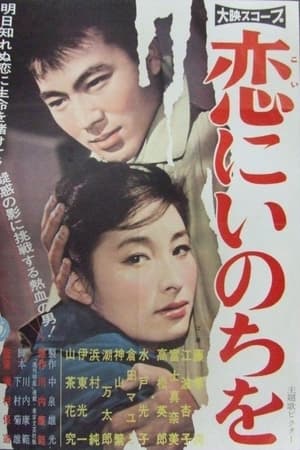 恋にいのちを