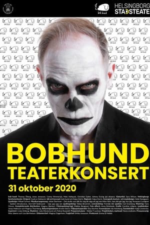 BOBHUNDTEATERKONSERT