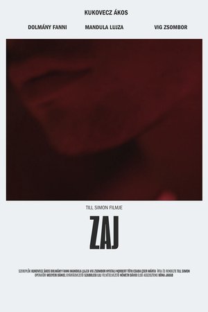 Zaj
