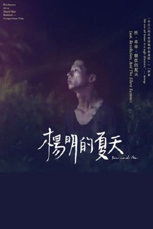 杨明的夏天