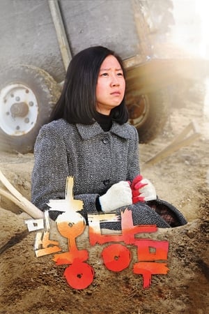 胡萝卜小姐
