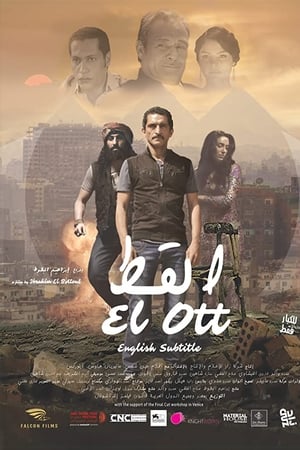 القط