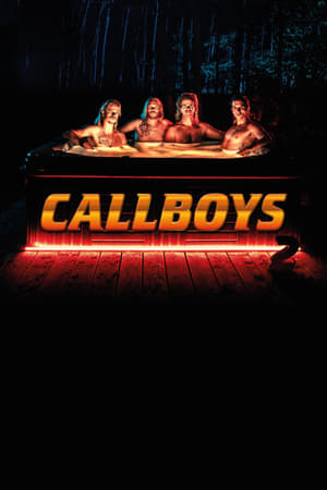 Callboys第2季