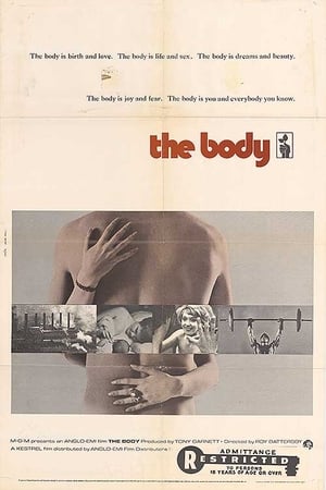 The Body