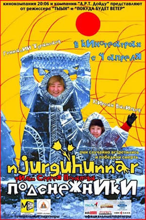 Нюргуһуннар