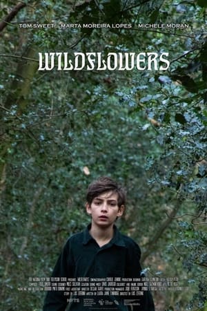 Wildflowers
