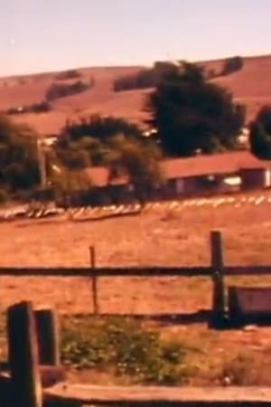 Christo Running Fence Reels: Don’t Squeeze The Fence