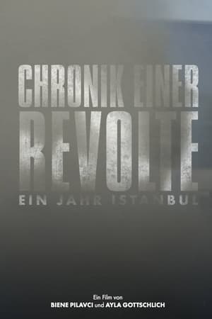 Chronik einer Revolte - Ein Jahr Istanbul