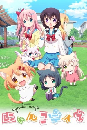 猫咪日常
