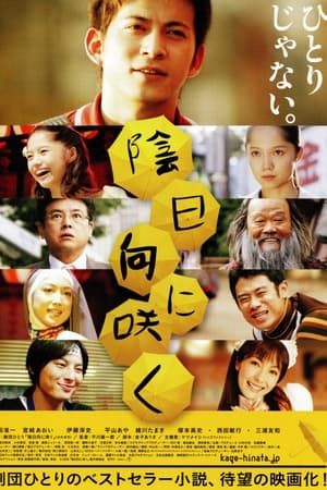 向着阴天绽放