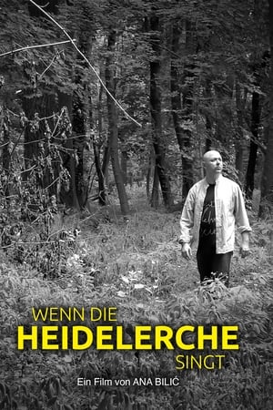 Wenn die Heidelerche singt