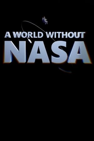 没有NASA的世界