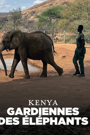 Elephant Guardians of Kenya