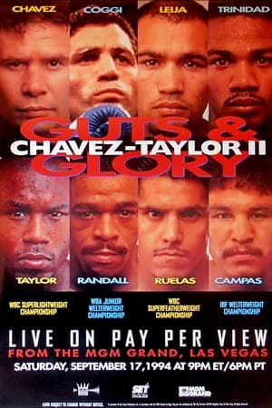 Julio César Chávez vs. Meldrick Taylor II