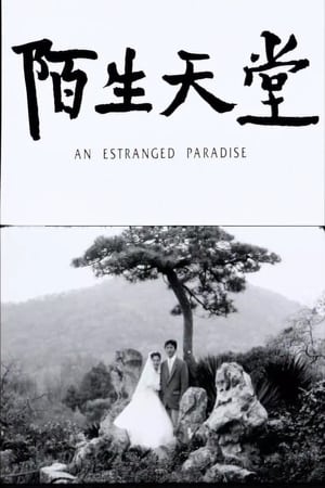 陌生天堂