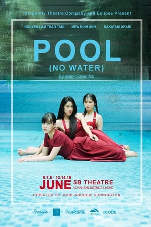 POOL (No Water)