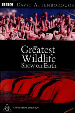 The Greatest Wildlife Show on Earth