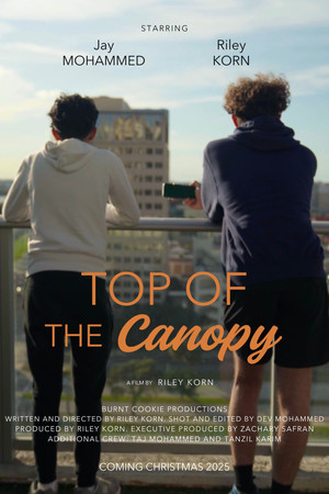 Top of the Canopy