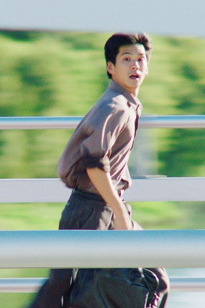 교량의오후