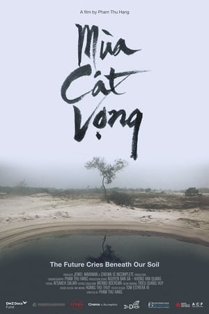 Mùa Cát Vọng
