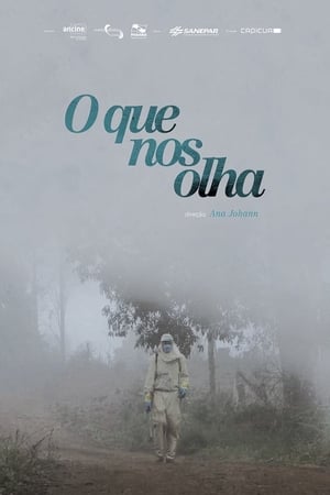 O Que Nos Olha