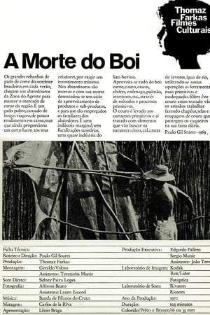 A Morte do Boi
