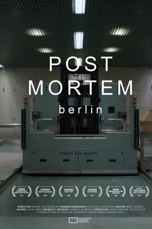 Post Mortem Berlin