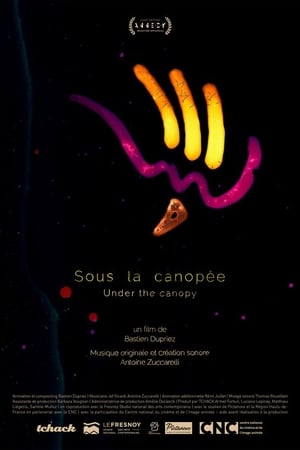 Sous la canopée