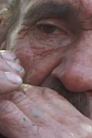 Venice 70 - Future Reloaded: Amiel Courtin