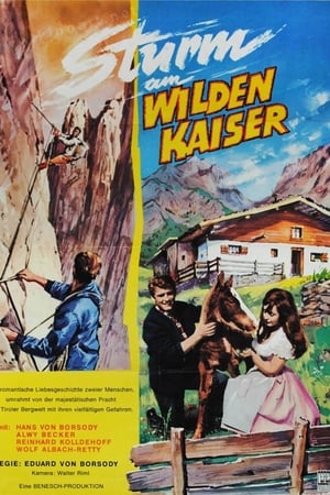 Bergwind