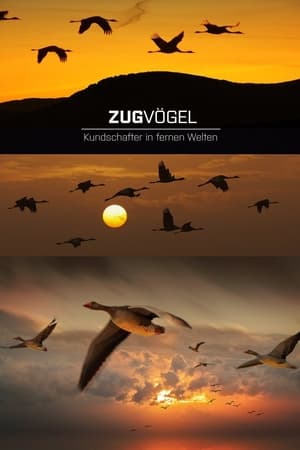 Zugvögel - Kundschafter in fernen Welten