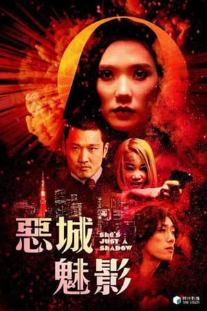 倩影伊人