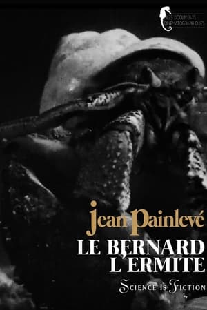 Bernard-l'hermite
