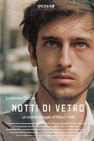 Notti di vetro