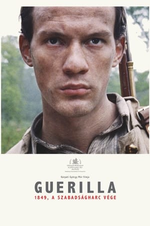 Guerilla