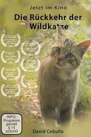 Die Rückkehr der Wildkatze