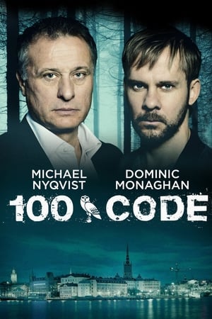 代码100