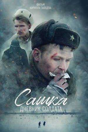 Сашка. Дневник солдата