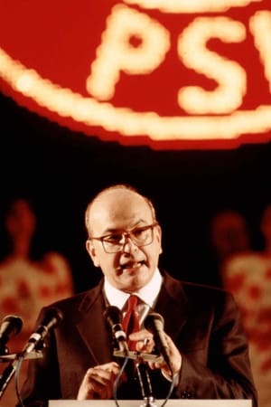 Il caso Craxi - Una storia italiana