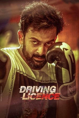 ഡ്രൈവിംഗ് ലൈസൻസ്