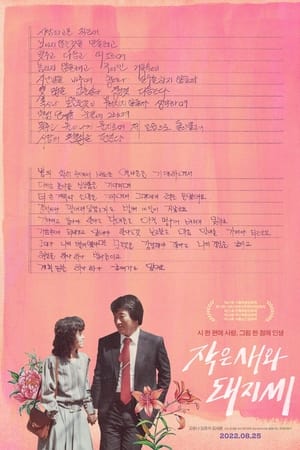작은새와 돼지씨