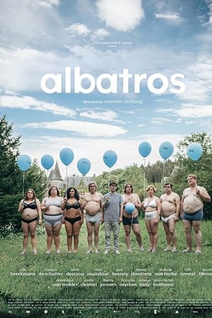 Albatros